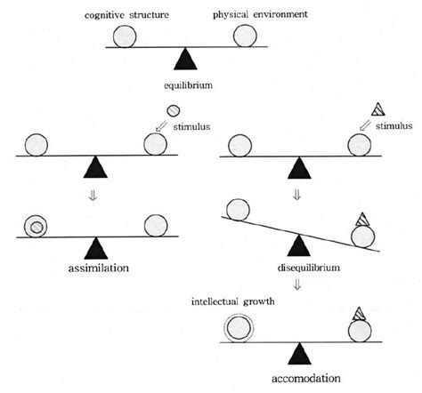 equilibrant|equilibration in psychology.